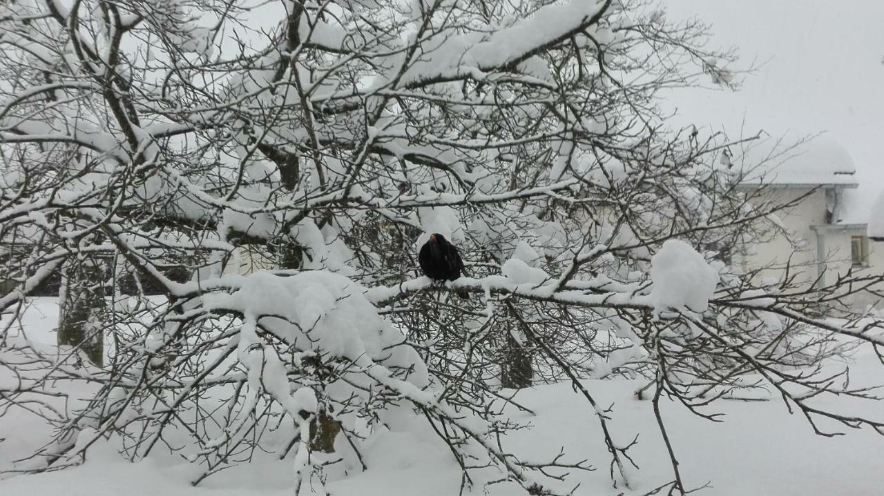 Rokys Rokytnice nad Jizerou